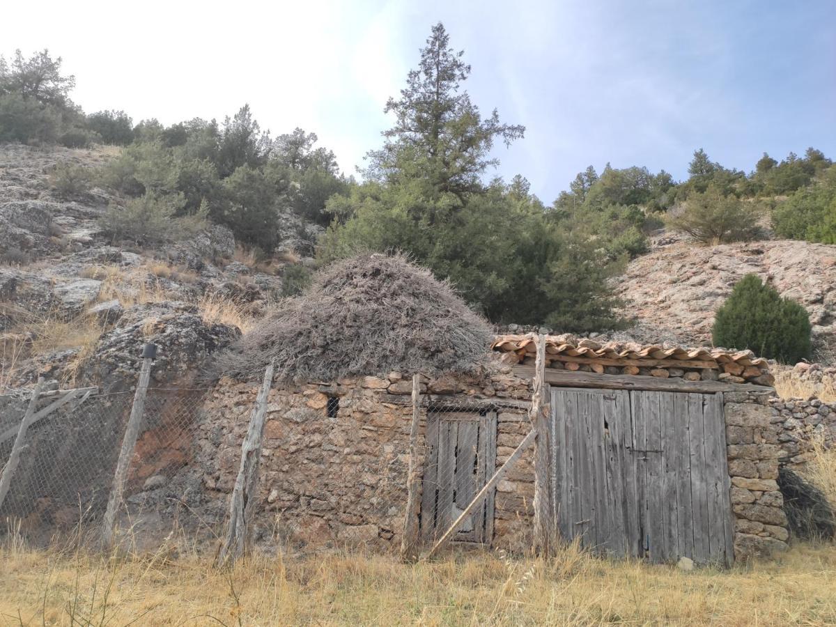 Casa Rural Sierra Del Solorio Iruecha Ngoại thất bức ảnh